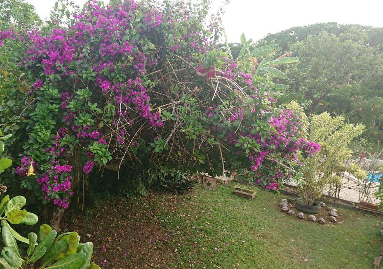 Résidence Bougainvillee Petit-Bourg Exterior foto